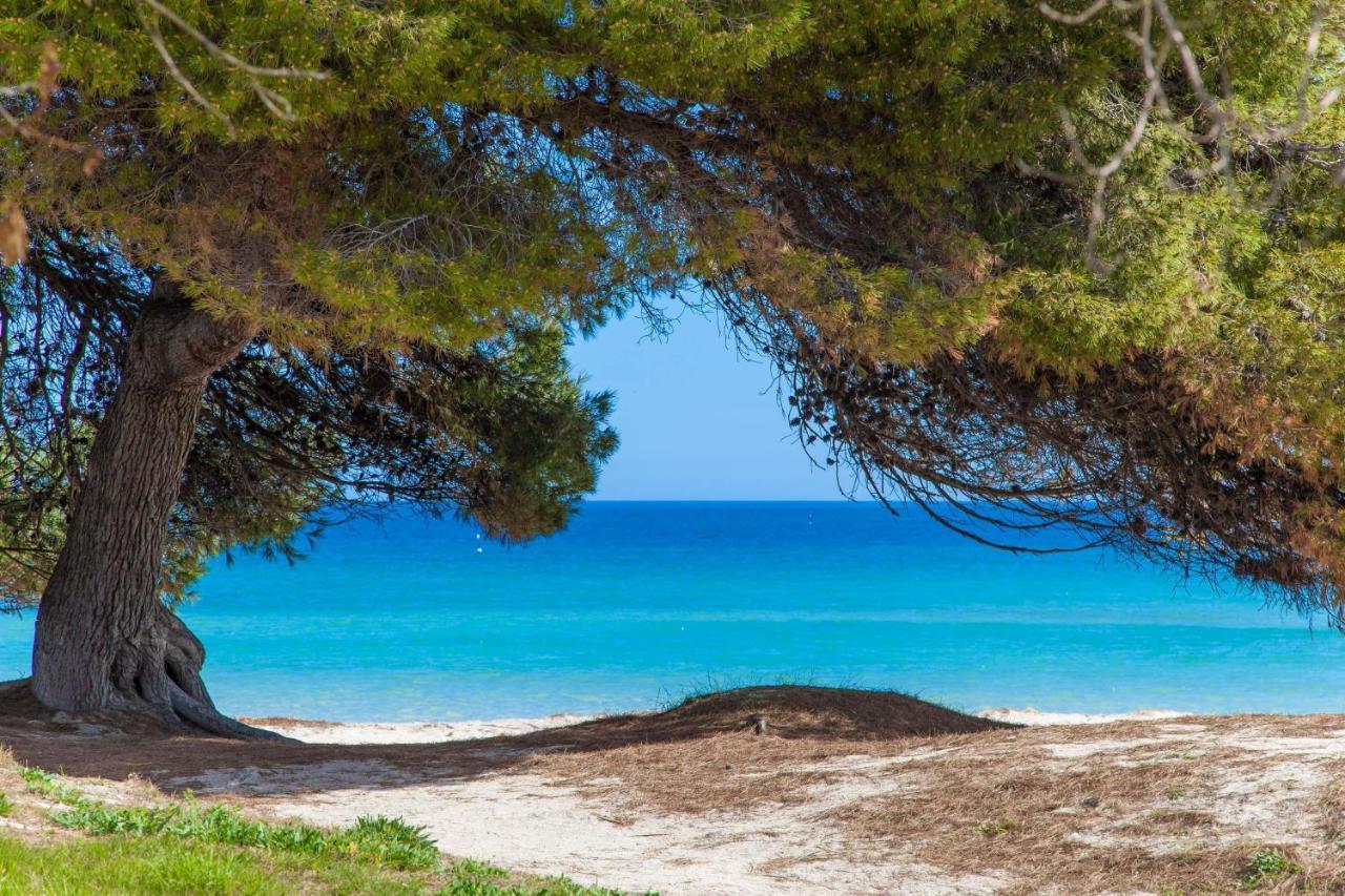 Violeta De Mar Villa ปลายาเดมูโร ภายนอก รูปภาพ